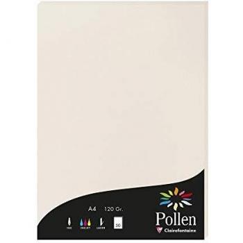 Pollen Papier Clairefontaine DIN A4, Hellgrau