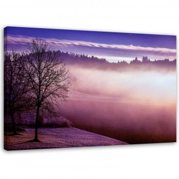 Sanfte Nebelschwaden am Violetten See 60x40