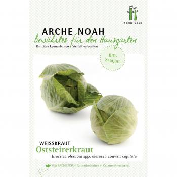 Cavolo Cappuccio Arche Noah Bio Oststeirerkraut