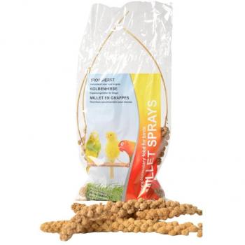 Witte Molen Kolben-Hirse 150 g