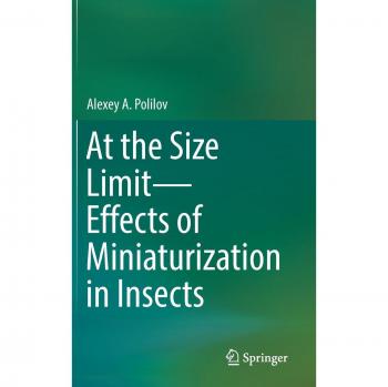 At the Size Limit
