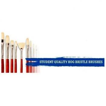 Daler Rowney Aquafine Watercolour Travel Set (24 Half Pans)