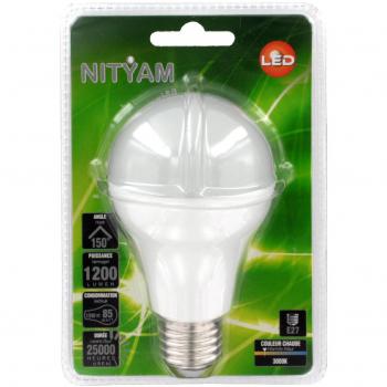Ampoule LED GLOBE STANDARD E27 15W 1200 Lumens Couleur Chaude 3000K Classe A+