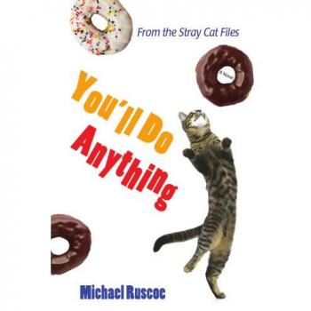 You'll Do Anything: From the Stray Cat Files
