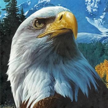 Full Drill Eagle Cross Stitch Diamond Set