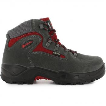 BOTAS MONTAÑA CHIRUCA MASSANA GORETEX-41 EUR