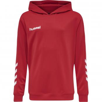 HmlPROMO Poly Hoodie for Children by Hummel