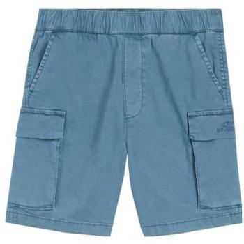 O'Neill Cargo Kids Pantaloncini blu Copen 700088