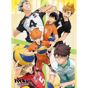 Calendario de Pared TV Anime 2023 Haikyu