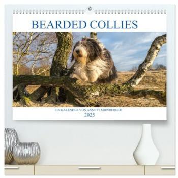 BEARDED COLLIES 2025 (hochwertiger Premium Wandkalender 2025 DIN A2 quer) Kunstdruck in Hochglanz