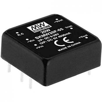 Mean Well SKMW20 Convertitore DC/DC 20 W 4 A