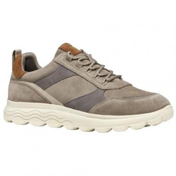 GEOX Spherica Taupe/Gris 44