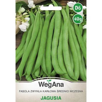 Frijol Enano Jagusia 40g