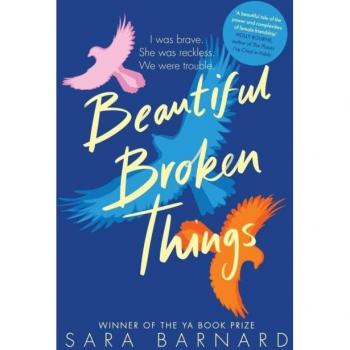 Beautiful Broken Things