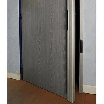 Ventosa de Acero CDVI Bo600rp 12‑24 VCC 2×300 kg, L=2,5 m, Acabado Plateado