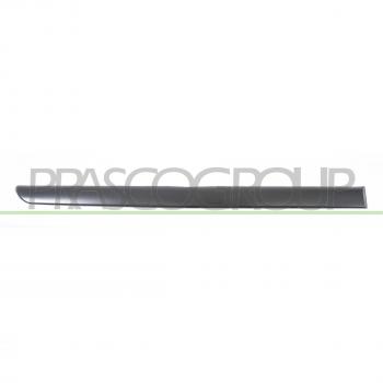 Protezione e Design Portiera PRASCO 0611453