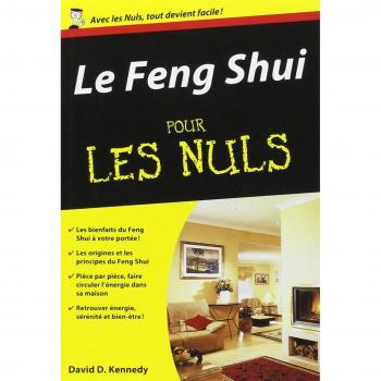 LE FENG SHUI POUR LES NULS (KENNEDY DAVID)