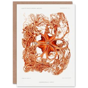 Artery8 Marine Star Fish Card – Classic White Design