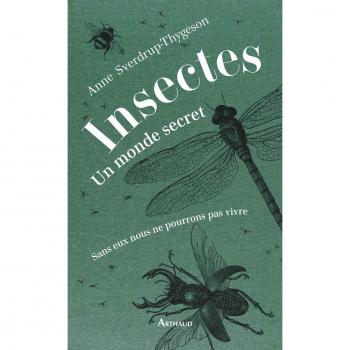 Insectes : un monde secret