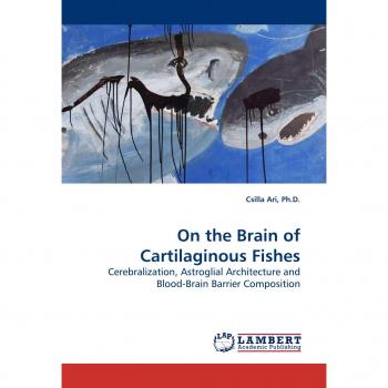 On the Brain of Cartilaginous Fishes: Cerebralization, Astroglial Architecture and Blood-Brain Barrier Composition