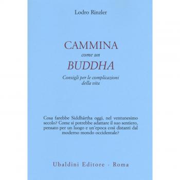 Cammina come un Buddha. Consigli per le complicazioni della vita