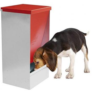 COPELE Nourrisseur pour jeunes animaux