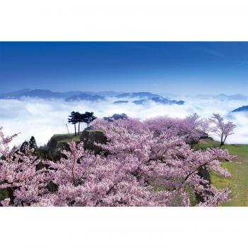 Takeda Castle Ruins 1000‑Piece Puzzle, Cherry Blossom Theme – Hyogo