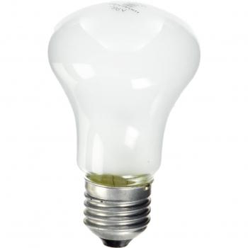 Bombillo de Modelado 100 W