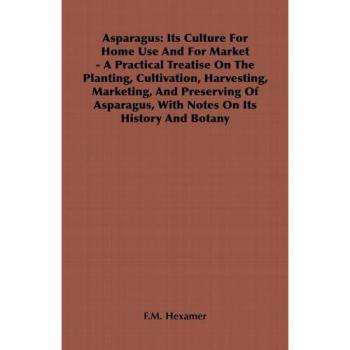 Asparagus