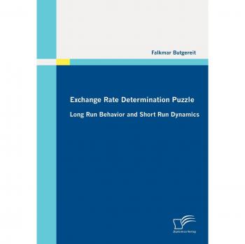 Exchange Rate Determination Puzzle: Long Run Behavior and Short Run Dynamics