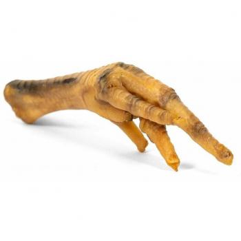 Gloria Hondenkipsnacks (5‑eenheid)