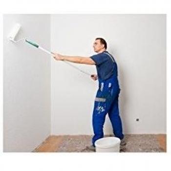 Traitement préventif et curatif des plâtres humides et moisis 5 L Incolore