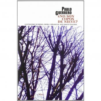 ¿No son copos de nieve?