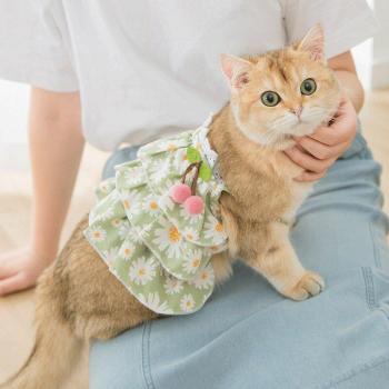 Robe à fleurs et nœud pour animaux avec laisse