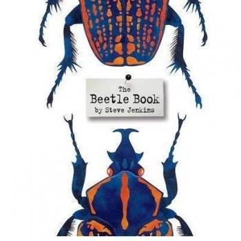 The Beetle Book