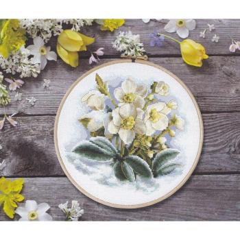 Delicate Daffodils DIY Cross Stitch Kit