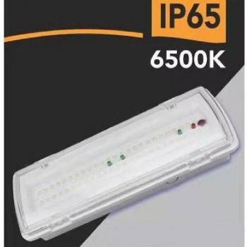 Luz de Emergencia Traesio Exterior 3,5 W 400 lm 3 h