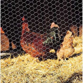Verzinktes Sechseckgeflecht 10 m (Betafence 7036406), 1000 mm Höhe, 25 mm Maschenweite – Magni‑Marke