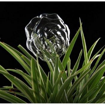 Vogelblumenbewässerung aus Glas