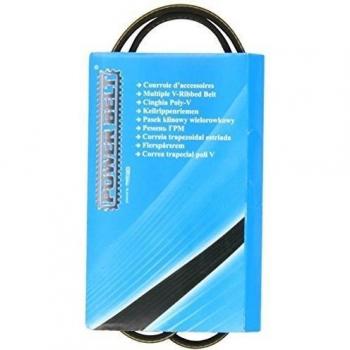 Correa de Soporte Trapezoidal MAPCO 220800 – Poli‑V