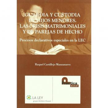 El proceso declarativo especial de guardia y custodia de hijos menores de la lec