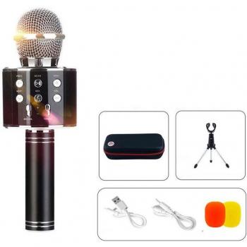 Wireless Handheld Karaoke Mic WS858