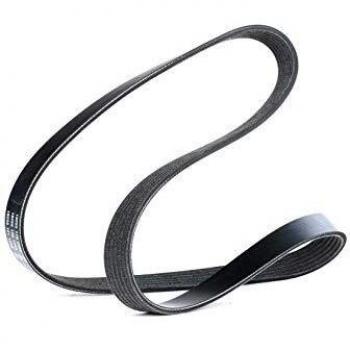 Cinghia Poly-V VW CITROËN PEUGEOT