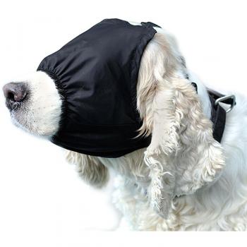 Casquette Anti-Anxiété Poilu