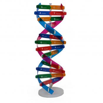 Experimento BioHaloppe ADN en ABS