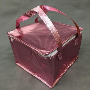 Ice Pack Thermo Portable Insulation box