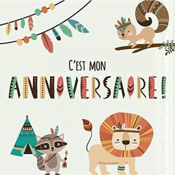 Set d'invitation anniversaire Indien 8 cartes simples
