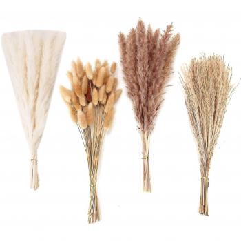 Pampas Herbales 100 Piezas para Bodas