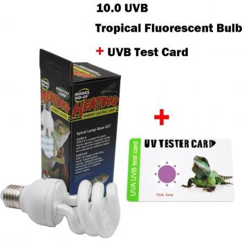 Ampoule UVB Réptile 10.0 W 13 W 110/220 V – Terrarium et Serpent