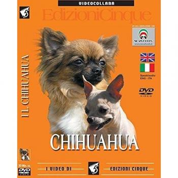 Chihuahua